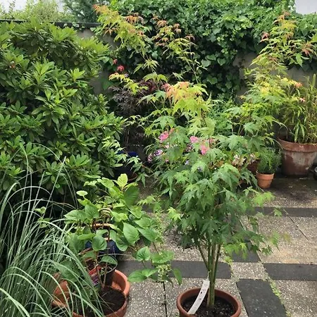Beautiful New Central 3 Bedroom For 6 Guests * Düsseldorf